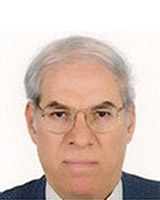 Prof. Ahmad Abdel Khalek